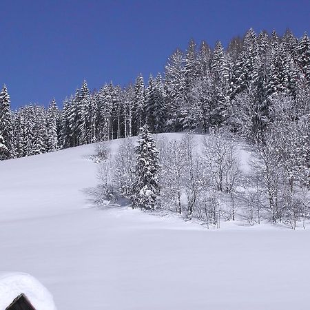 Romantikzimmer Jakobbauer Turnau 外观 照片