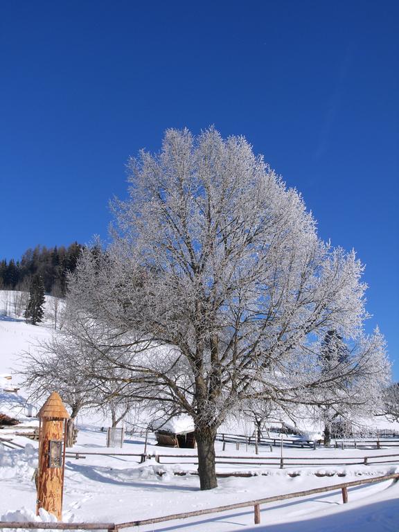 Romantikzimmer Jakobbauer Turnau 外观 照片